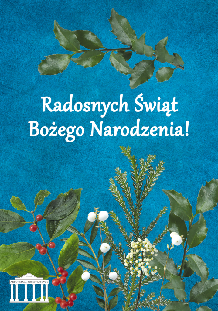 plakat promocje czytelnictwa