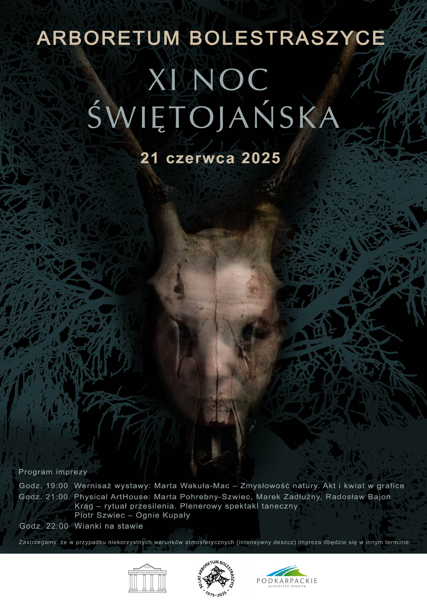 Plakat XI Nocy Świętojańskiej