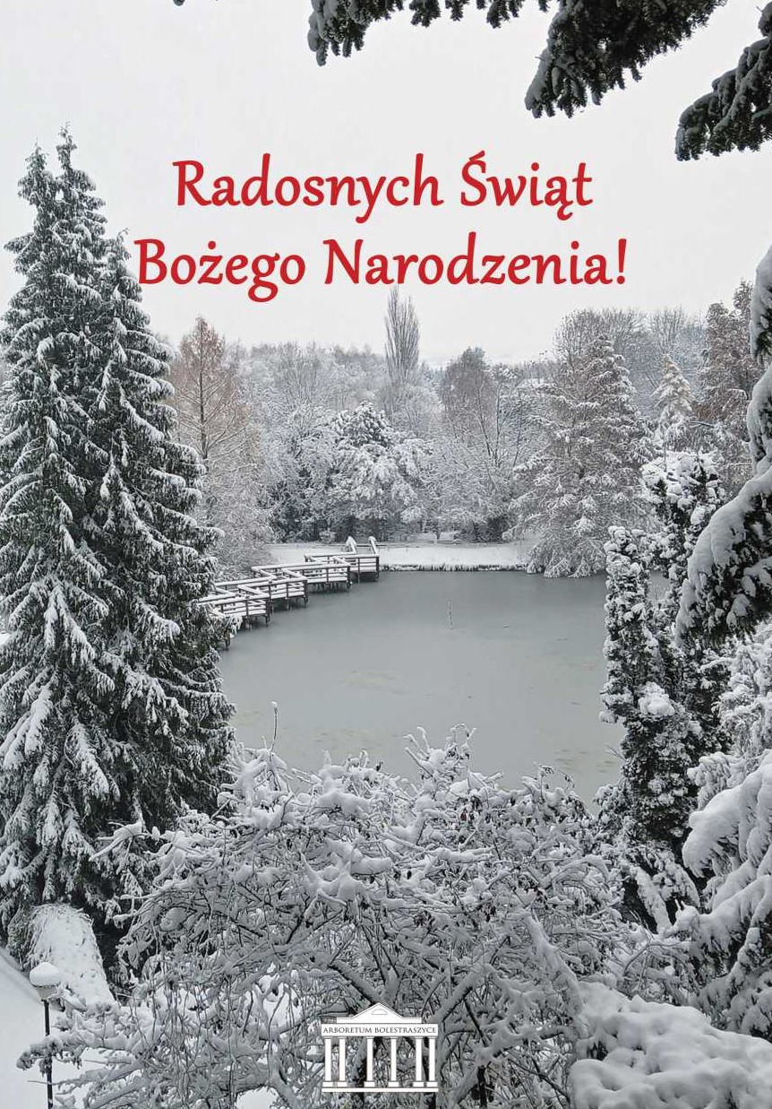 Kartka z życzeniami