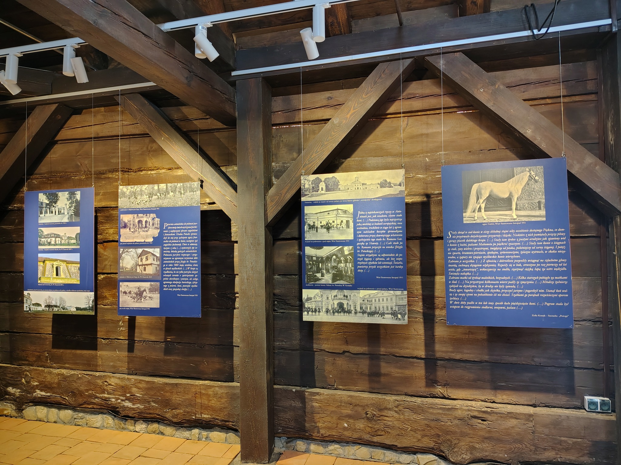 WIdok na 4 prace z wystawy