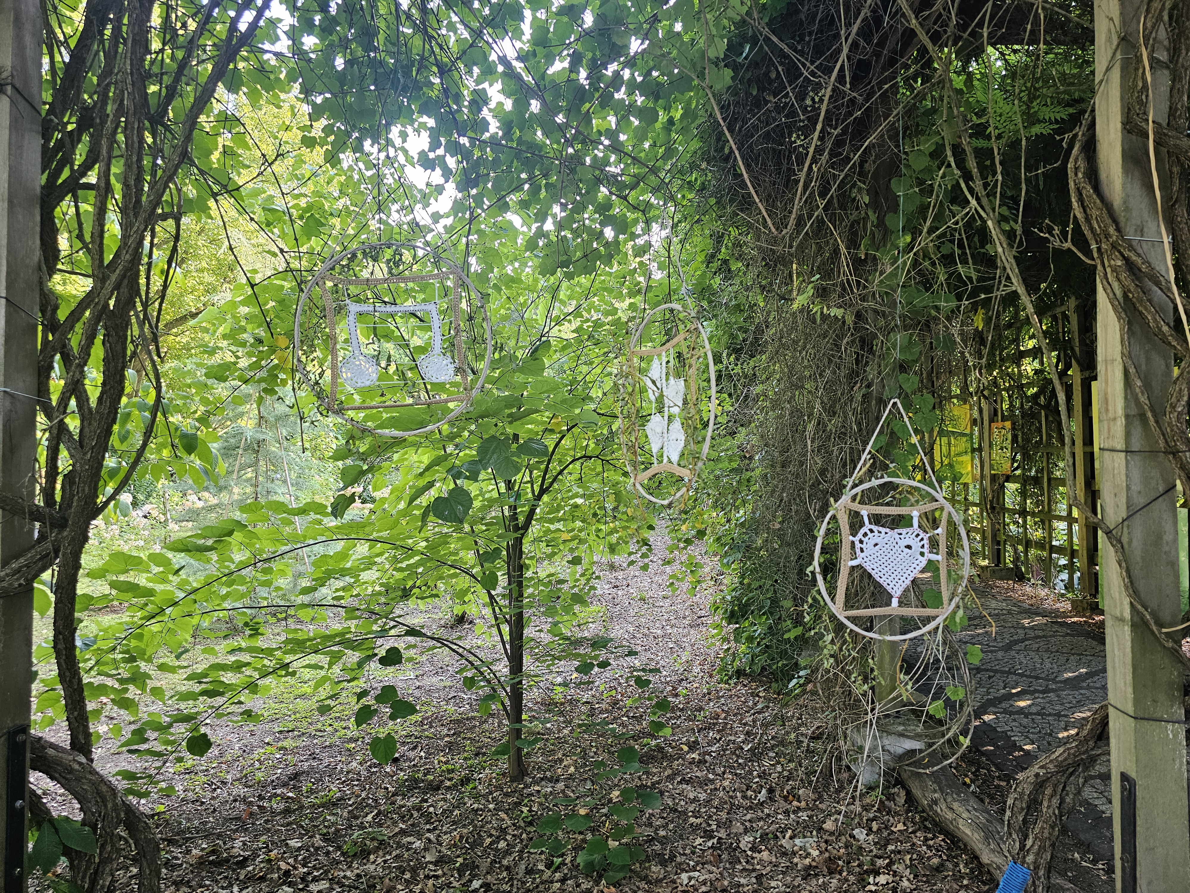 20260826_171332.jpg