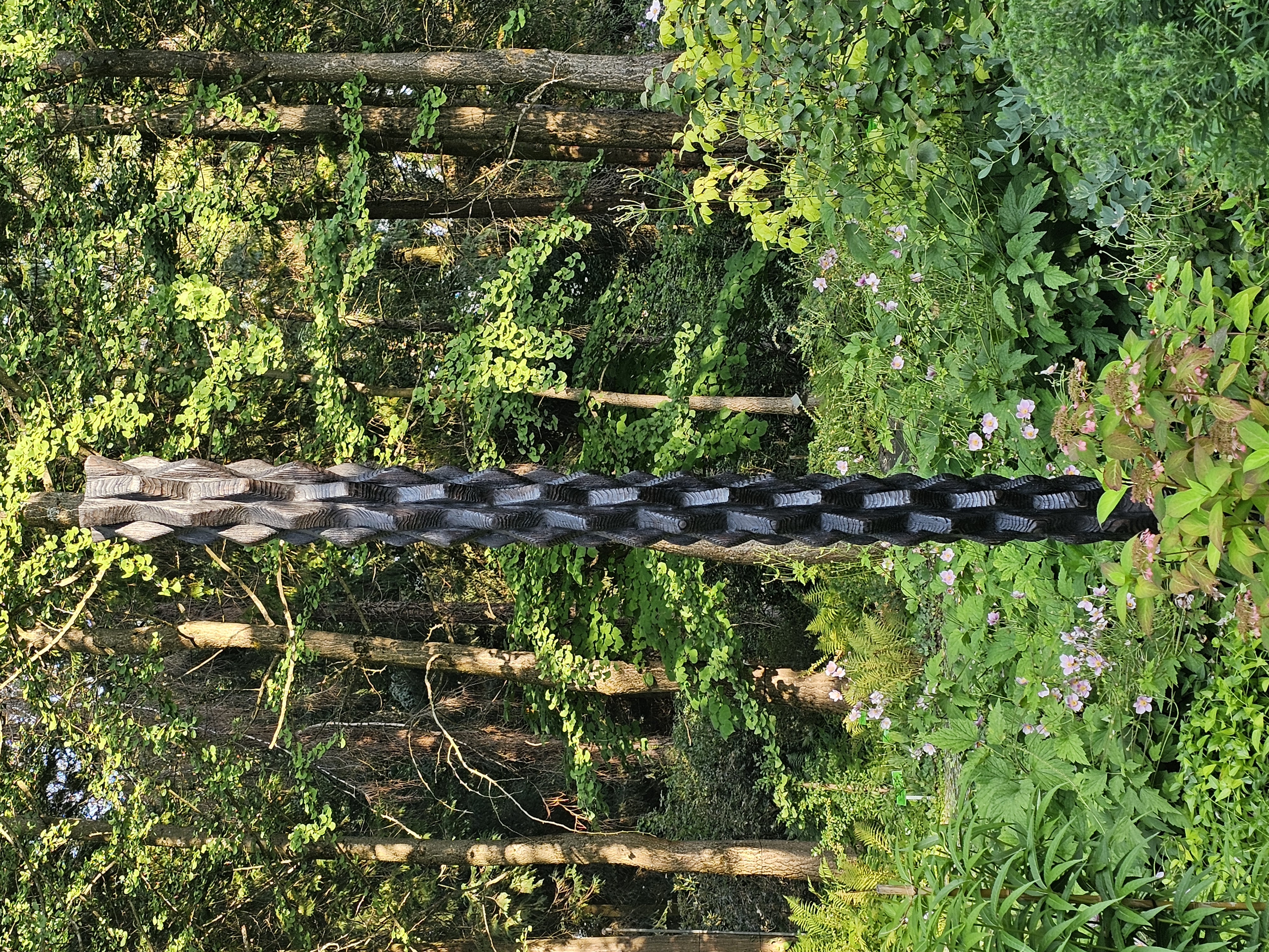20260826_171526.jpg