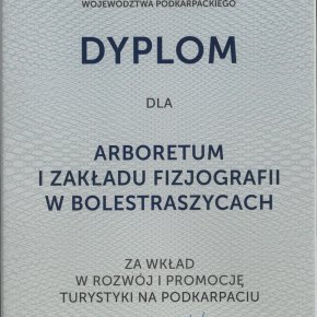 Dyplom